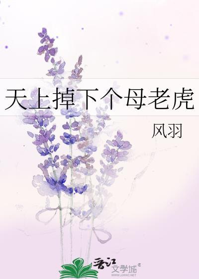 天上掉下个母老虎封面