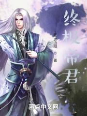 终极帝君封面
