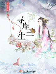 寻岸三生封面