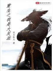 重生之我是大反派封面