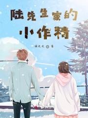 陆先生家的小作精封面
