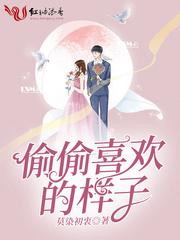 偷偷喜欢的样子封面