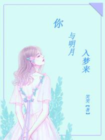 你与明月入梦来封面
