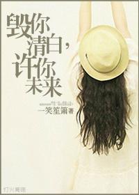 毁你清白，许你未来封面