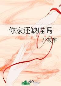 你家还缺喵吗封面