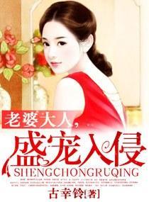 老婆大人，盛宠入侵封面