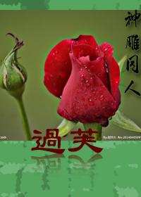 炼狱之王江黎林初绒封面