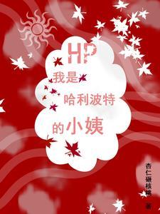 HP我是哈利波特的小姨封面