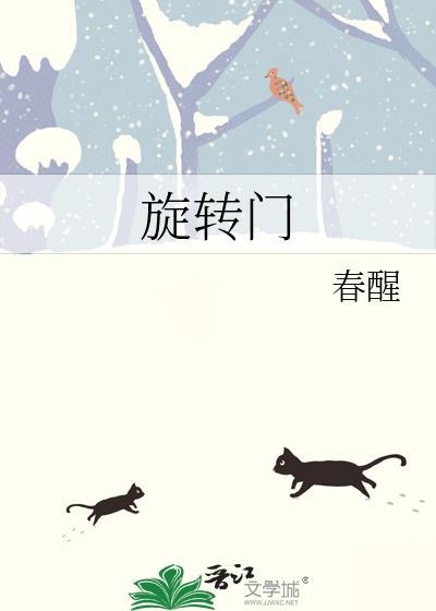 旋转门封面