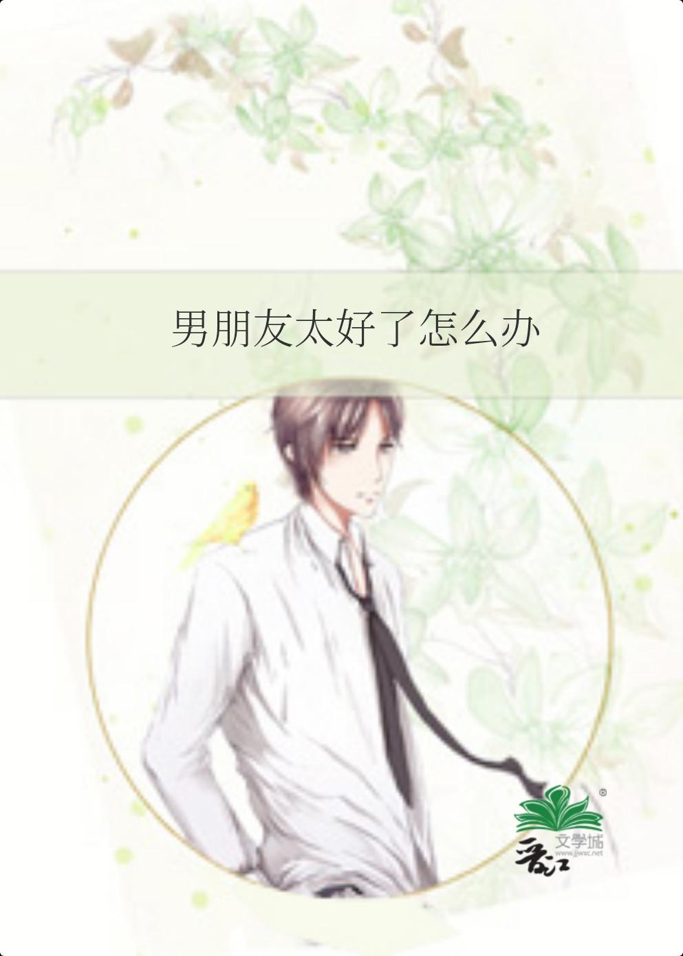 男朋友太好了怎么办封面