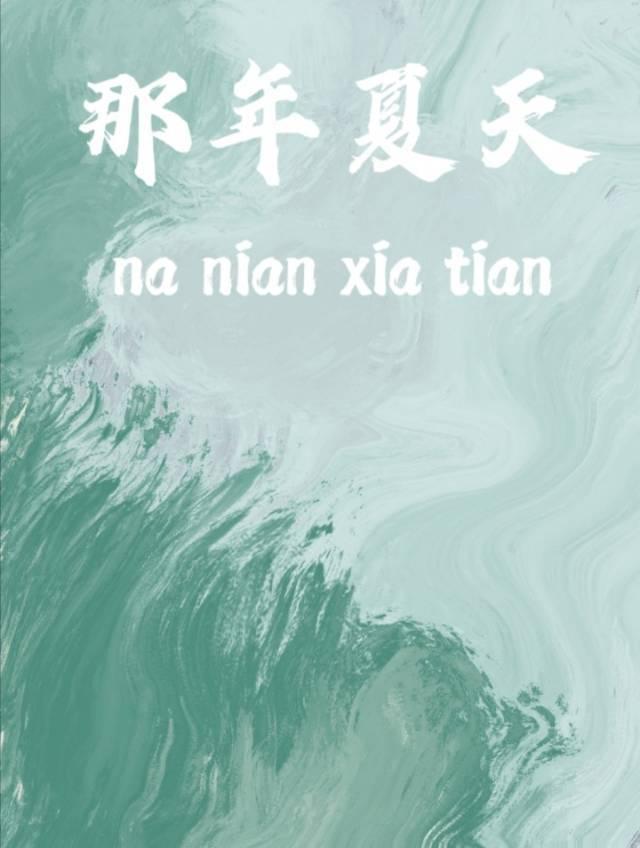 那年夏天封面