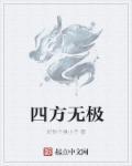 四方无极封面