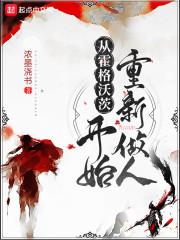 从霍格沃茨开始重新做人维森·莱特封面