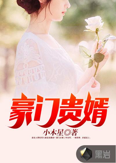 豪门贵婿封面