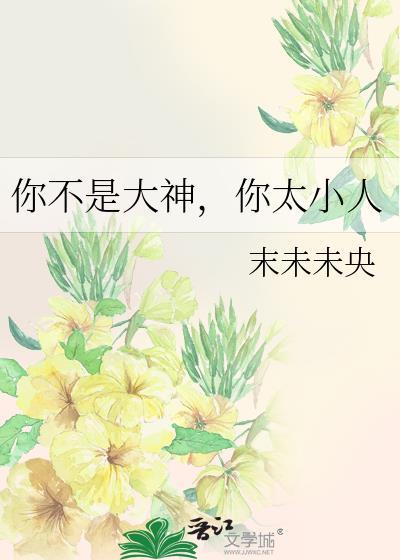 你不是大神，你太小人封面