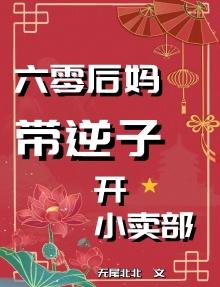 六零后妈带逆子开小卖部封面
