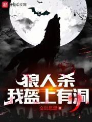 狼人杀：我盔上有洞封面