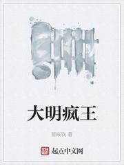 大明疯王封面