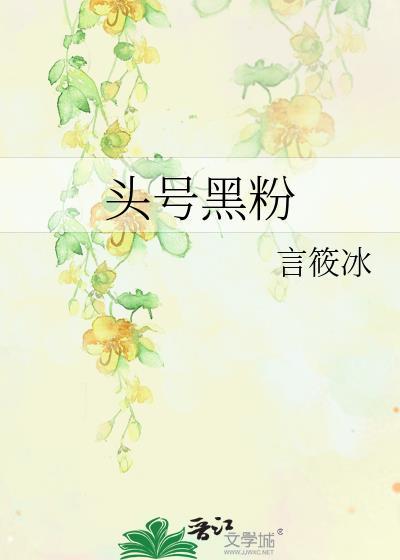 头号黑粉封面