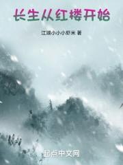长生从红楼开始封面