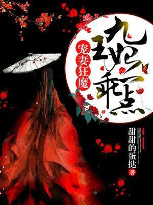 宠妻狂魔：九王妃，乖一点封面