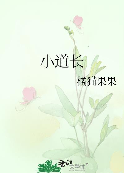 小道长封面