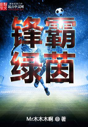 锋霸绿茵封面