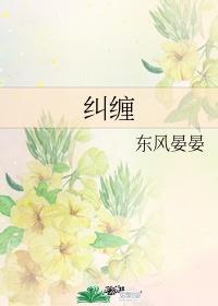 纠缠他的那五年封面
