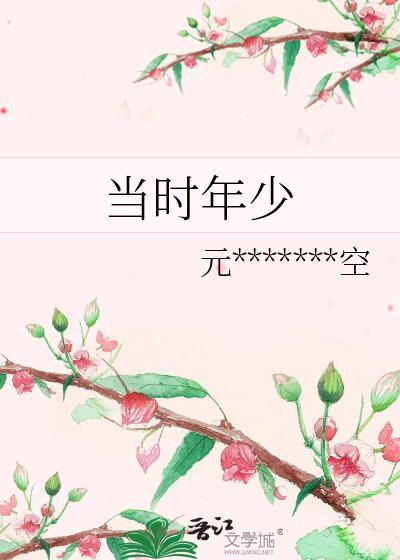 当时年少封面