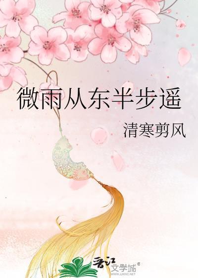 微雨从东半步遥封面