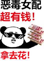 恶毒女配她超有钱[穿书]封面
