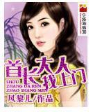 首长大人找上门封面