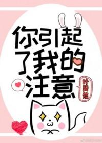你引起了我的注意封面
