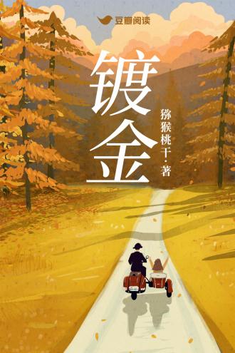 镀金封面
