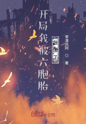 和美女上司的荒岛生涯张起萧晴封面
