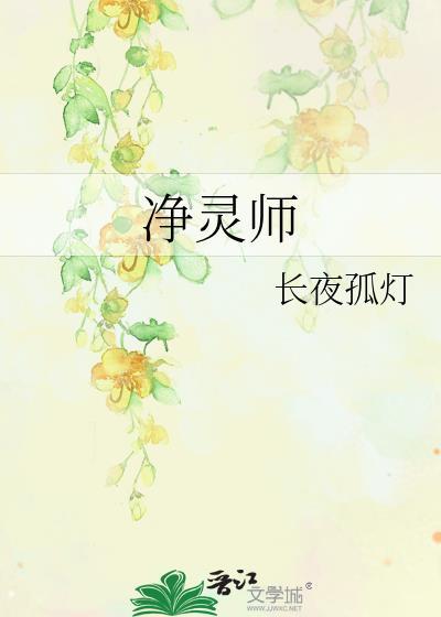 凈灵师封面