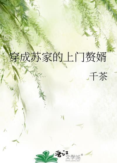 穿成苏家的上门赘婿封面