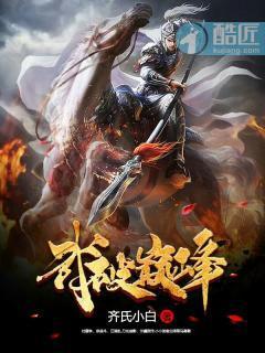 武破巅峰封面