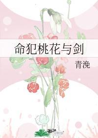 命犯桃花与剑封面