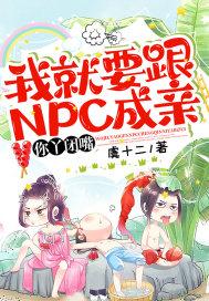 我就要跟NPC成亲，你丫闭嘴！封面