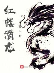 红楼梦h封面