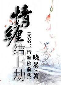 锦衾灿兮封面