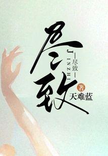 尽致封面