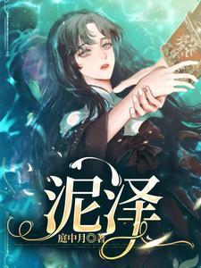 泥泽封面