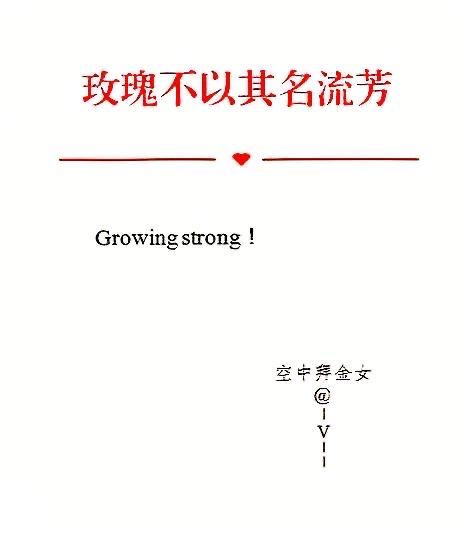 玫瑰不以其名流芳封面