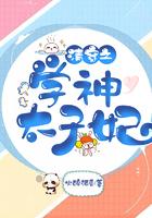 康熙与太子妃清穿全文封面