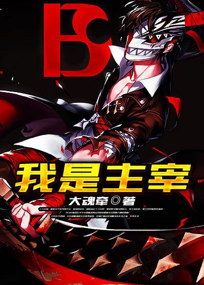 我是主宰封面