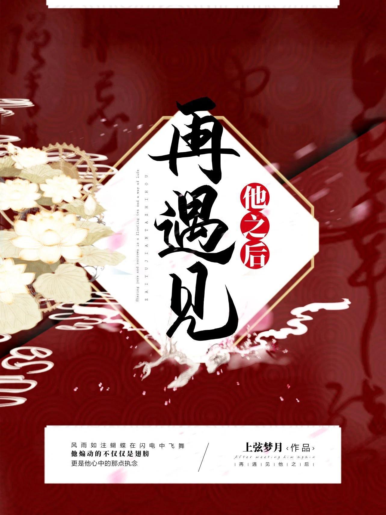 再遇见他之后封面