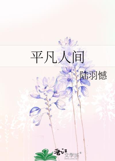 平凡人间封面
