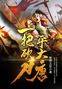 一把砍刀平大唐封面